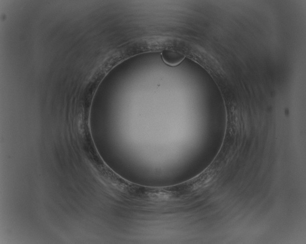 X0000071760698200606301130