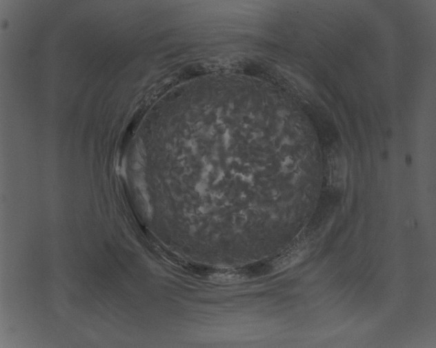 X0000071760699200606301130