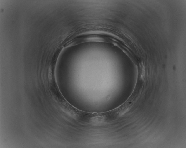 X0000071760700200606301130