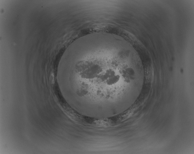 X0000071760703200606301130