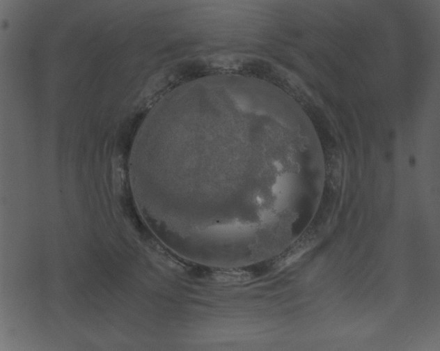 X0000071760707200606301130