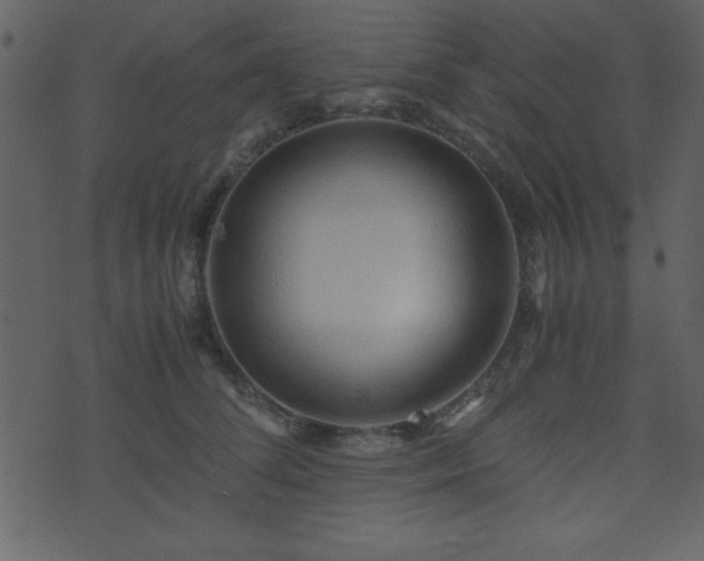 X0000071760708200606301130