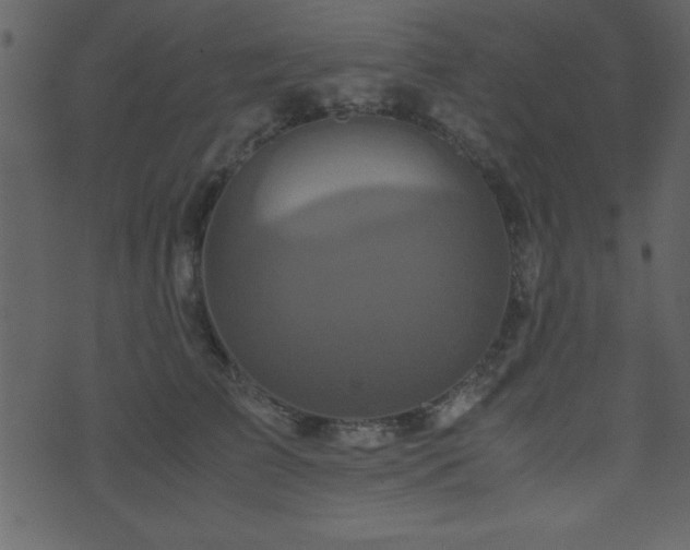 X0000071760709200606301130