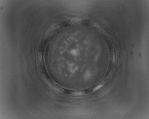 X0000071760711200606301130