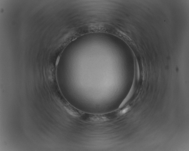 X0000071760712200606301130