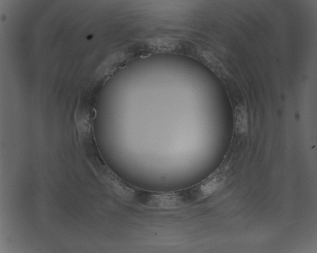 X0000071760713200606301130