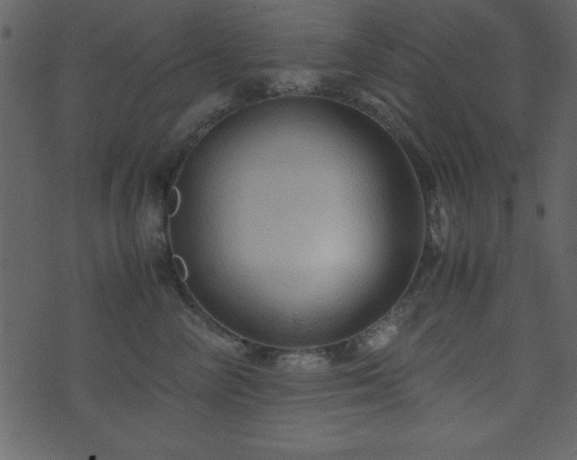 X0000071760714200606301130