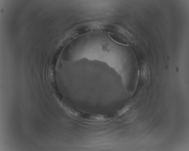 X0000071760715200606301130