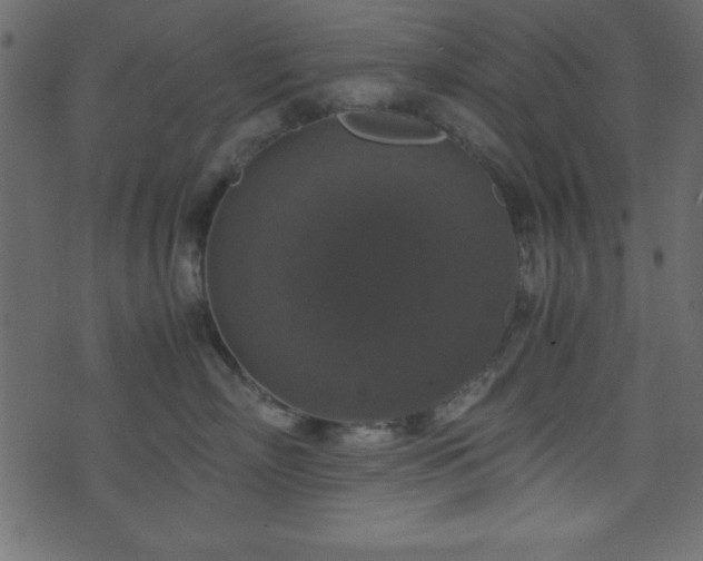 X0000071760718200606301130