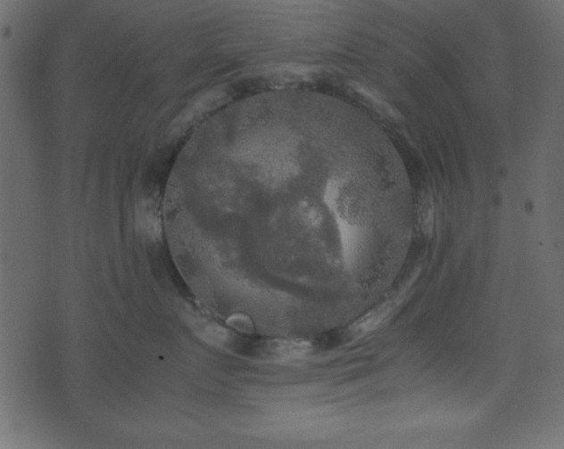 X0000071760719200606301130