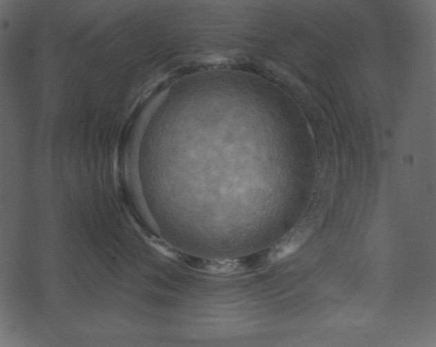 X0000071760720200606301130