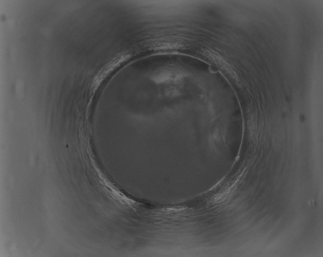 X0000071760721200606301129