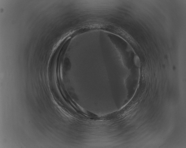 X0000071760722200606301129