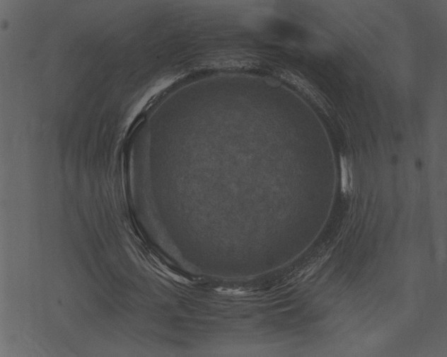 X0000071760723200606301129