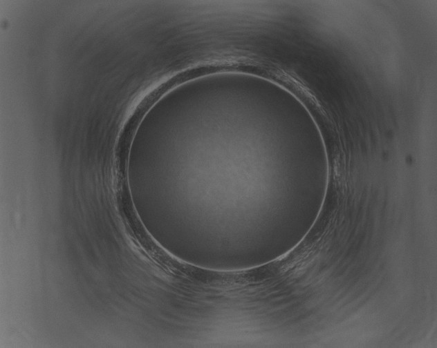 X0000071760724200606301129