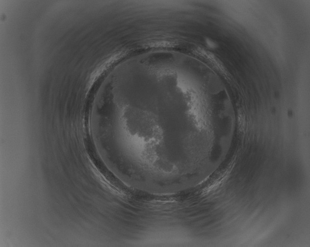 X0000071760725200606301129