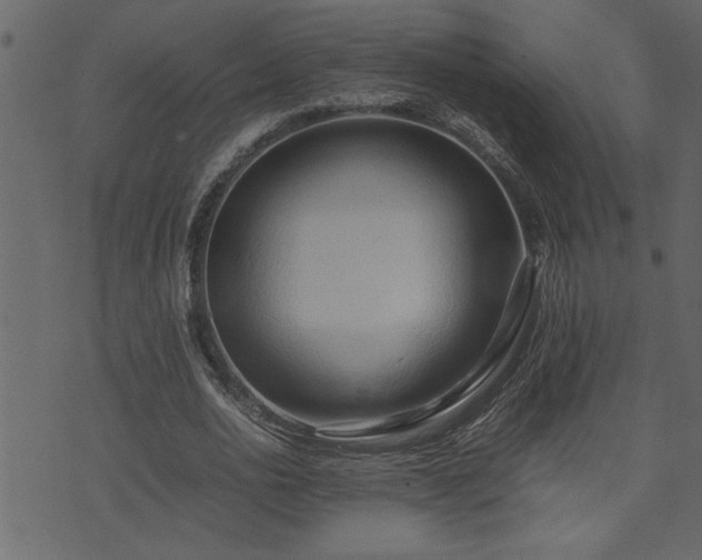 X0000071760726200606301129