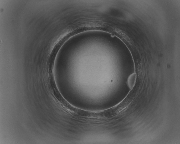 X0000071760727200606301129