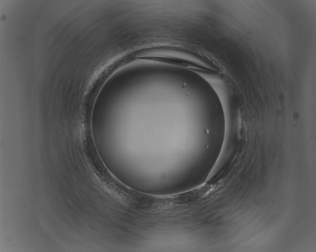 X0000071760728200606301129