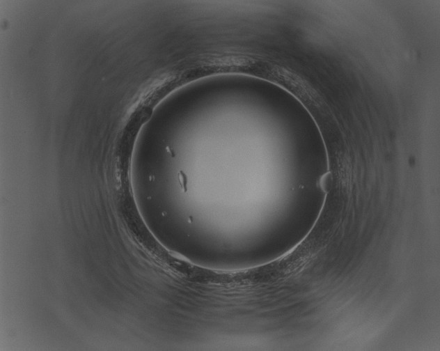 X0000071760731200606301130