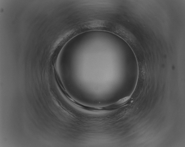 X0000071760732200606301130