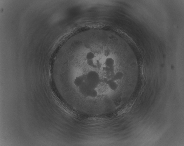 X0000071760733200606301130