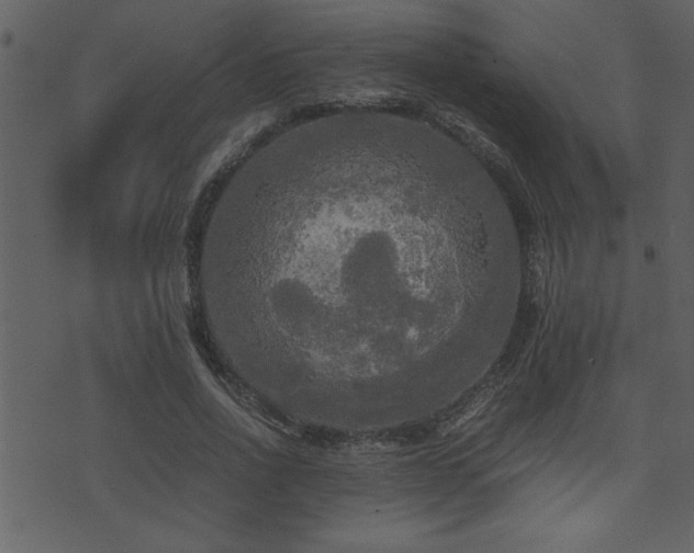 X0000071760734200606301130