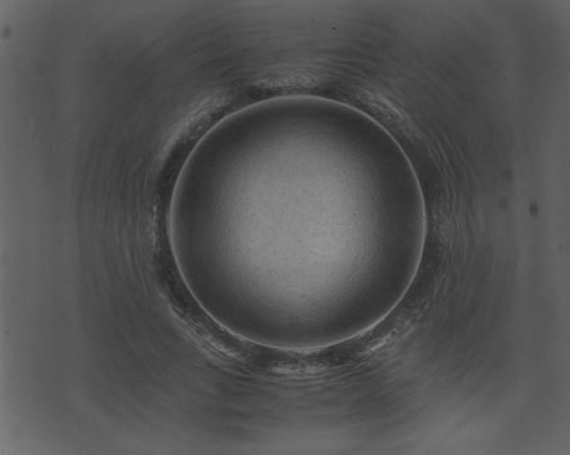 X0000071760735200606301130