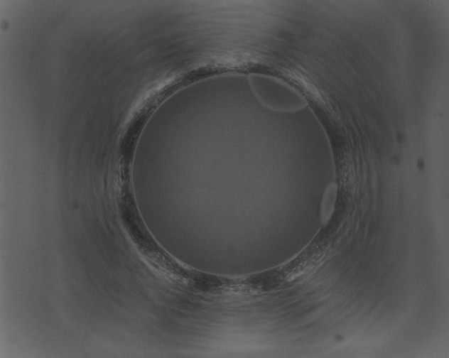 X0000071760736200606301130