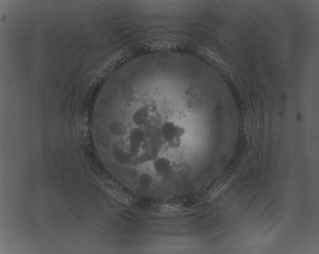 X0000071760737200606301130