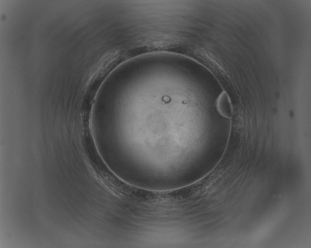 X0000071760738200606301130