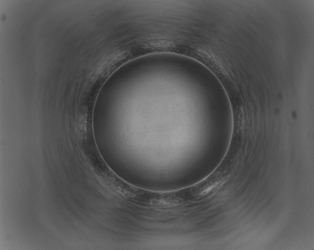 X0000071760739200606301130