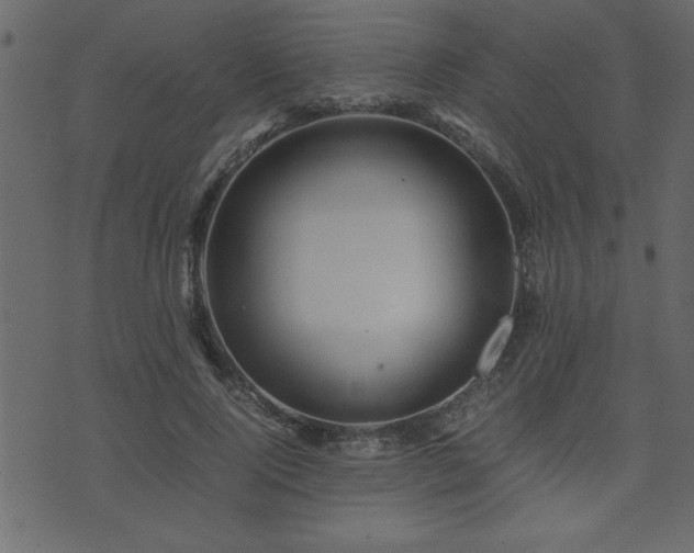 X0000071760740200606301130