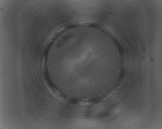 X0000071760742200606301130