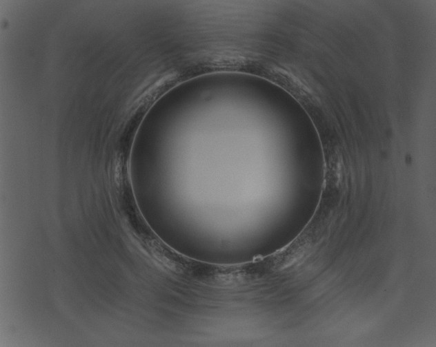 X0000071760744200606301130