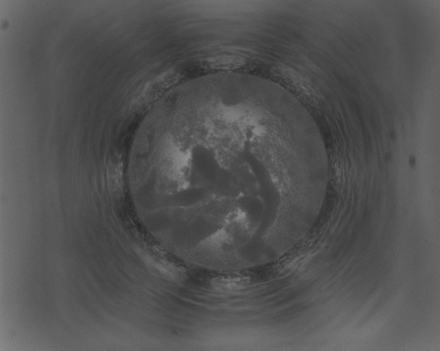 X0000071760745200606301130