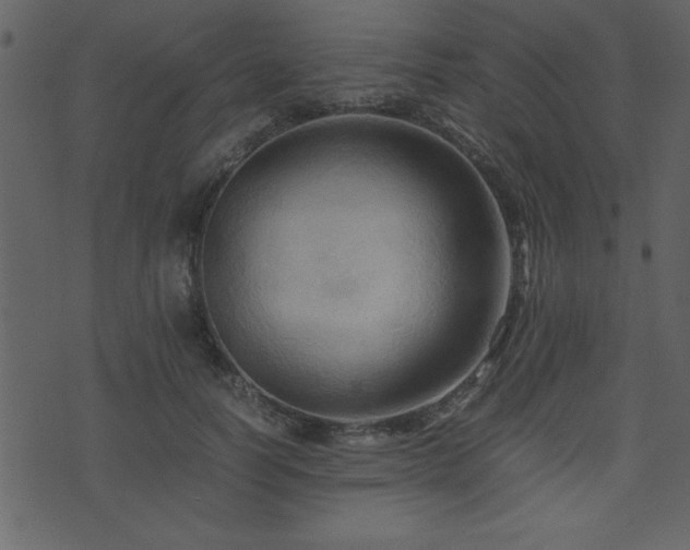 X0000071760746200606301130