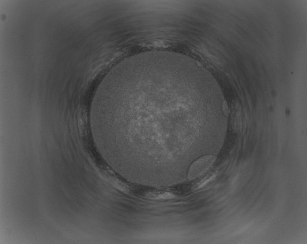 X0000071760747200606301130