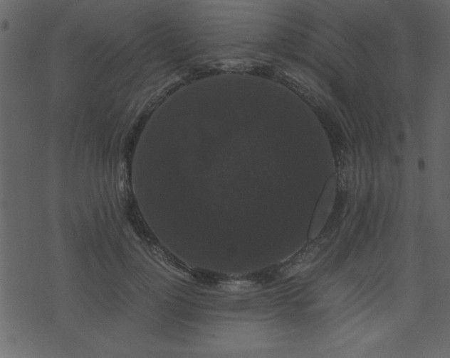 X0000071760748200606301130