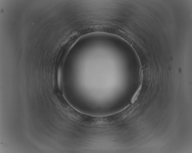 X0000071760750200606301130