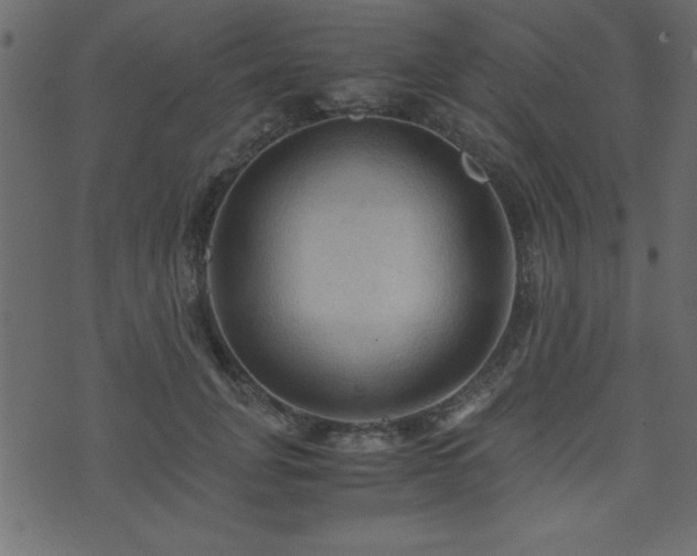 X0000071760751200606301130