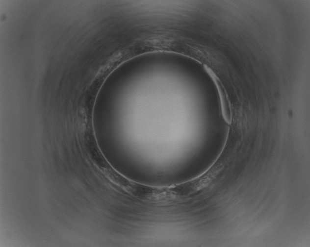 X0000071760752200606301130