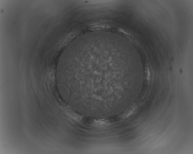 X0000071760753200606301130