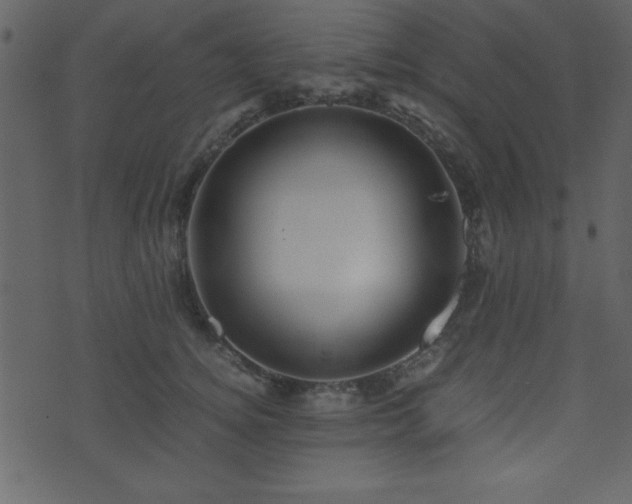 X0000071760756200606301130