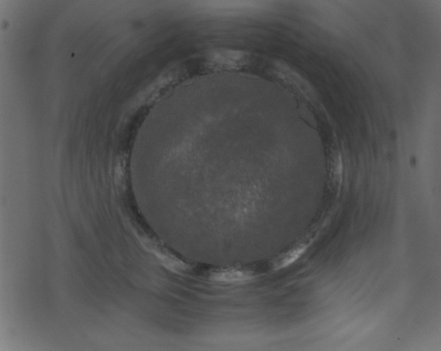 X0000071760759200606301130