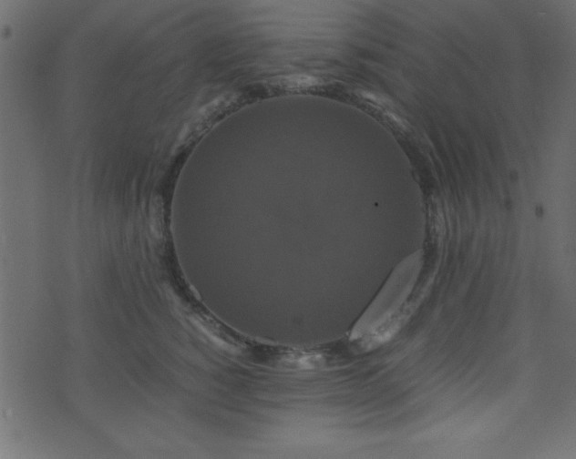 X0000071760760200606301130