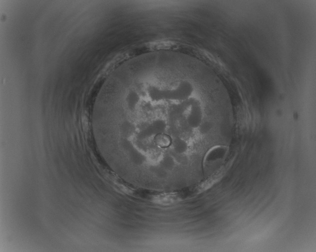 X0000071760761200606301130