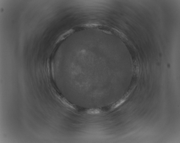 X0000071760762200606301130