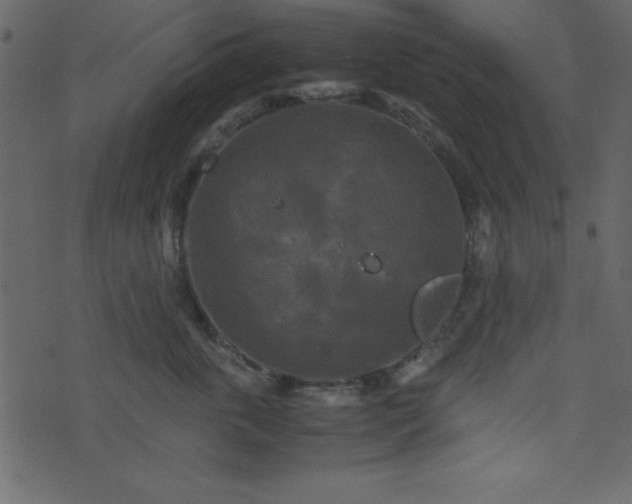 X0000071760763200606301130