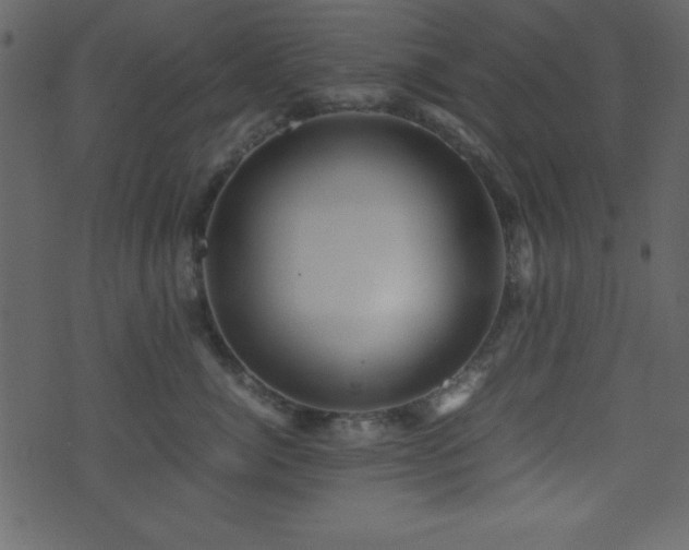 X0000071760764200606301130